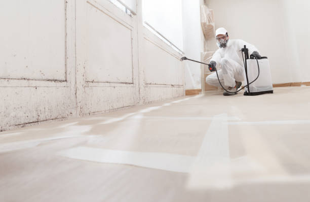 24/7 Emergency Mold Remediation experts in Gill, CO